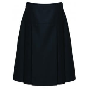 Drop Waist Pleated Skirt