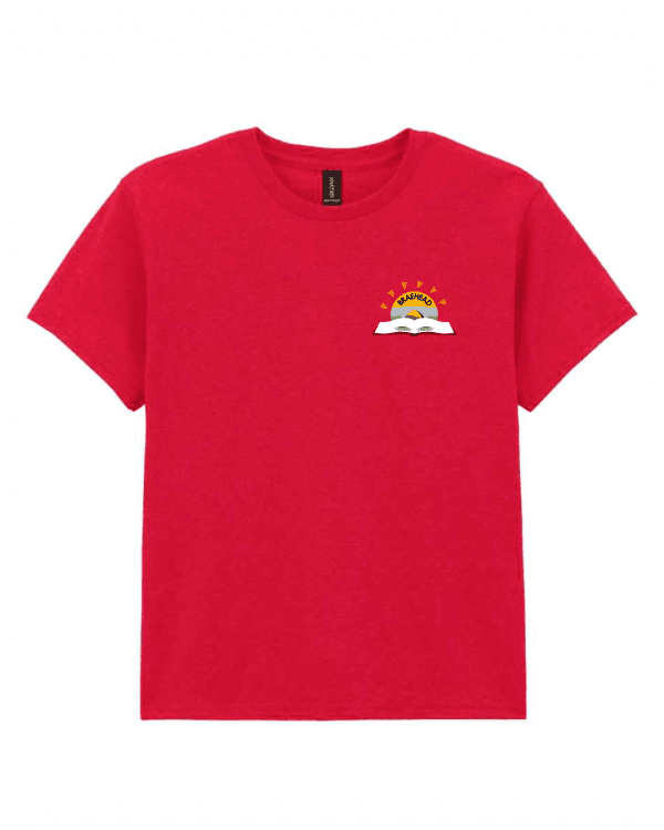 Heavy Cotton™ T-Shirt (with logo)