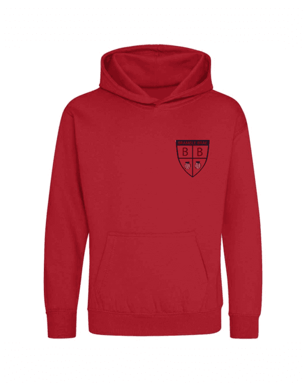 Hoodie (with logo)