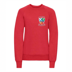 Jumper (with logo)