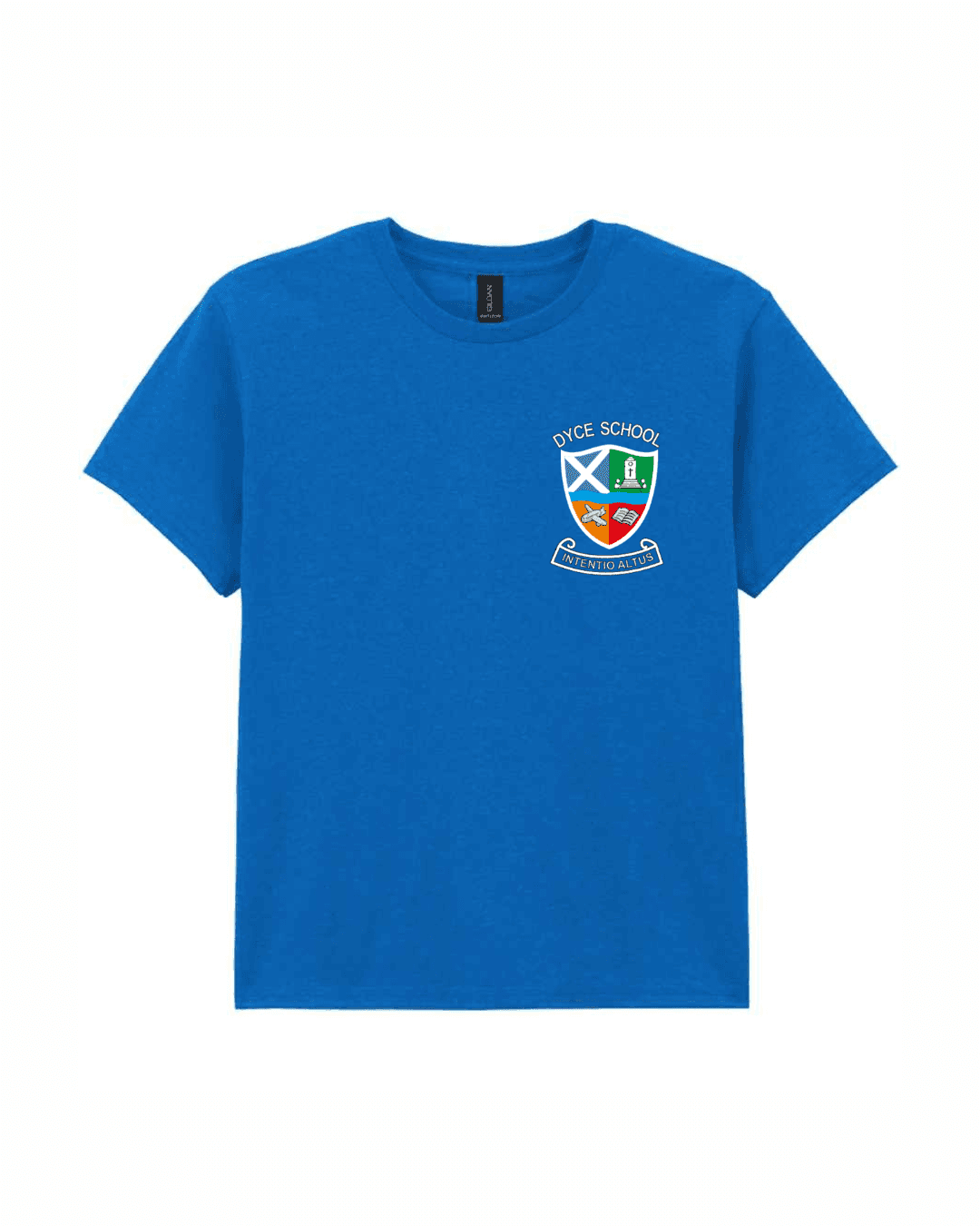 Heavy Cotton™ T-Shirt (with logo)