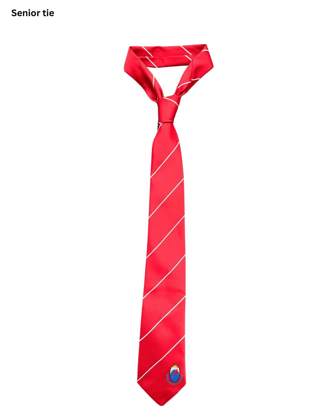 School Tie