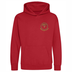 Hoodie (with logo)