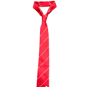 School Tie
