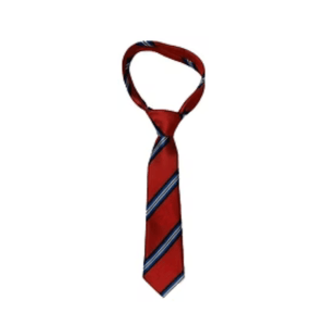 School Tie