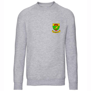 Sweater/Jumper (with logo)