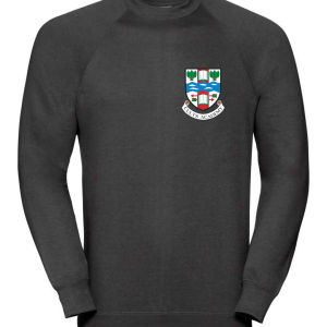 Unisex Jumper (with logo)