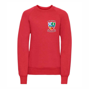 Sweater/Jumper (with logo)