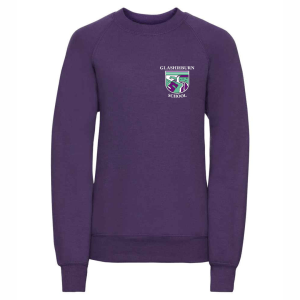 Sweater/Jumper (with logo)