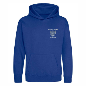 Hoodie (with logo)