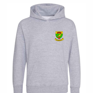 Hoodie (with logo)
