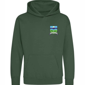 Hoodie (with logo)