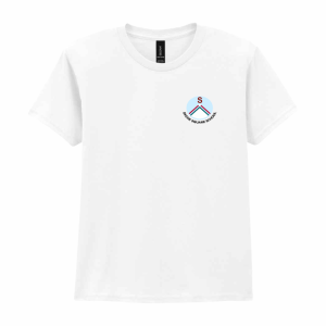 Heavy Cotton™ T-Shirt (with logo)