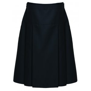 Drop Waist Pleated Skirt